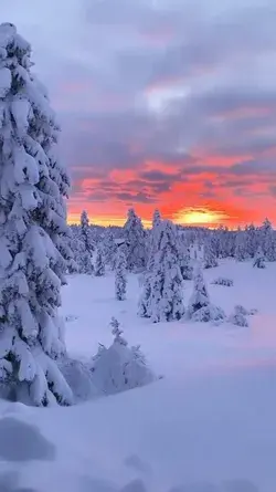 Winter wonderland in Norway