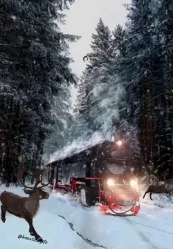 Winter train