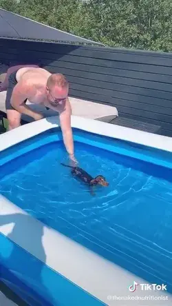 Teaching this puppy to swim 🙃🤗😍