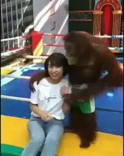 Funny Monkey with Chinese Girl