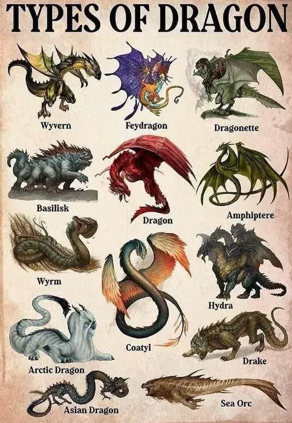 The 13 Kinds of Dragons