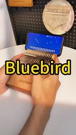 Bluebird #kalimba #thumbpiano #Jooleer #Jooleermusic #kalimbacover