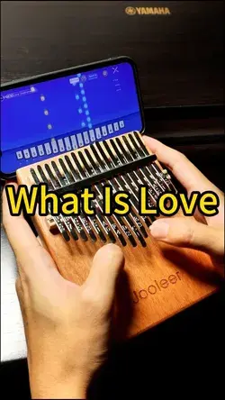 What Is Love #kalimba #thumbpiano #Jooleer #Jooleermusic #kalimbacover