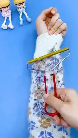 Portable Lint Remover