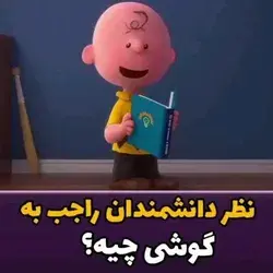 حرف راست را باید از بچه شنید🌝🤝