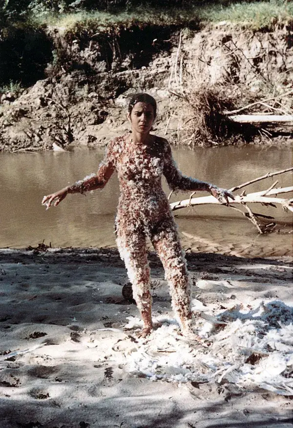 Ana Mendieta, Blood and Feathers (2), 1974