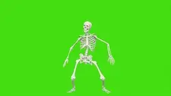 skeleton dancing seamless loop animation on Stock Footage Video