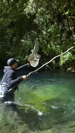 This owl rescue at the Aniene River in Italy is one of the most touching things we've seen