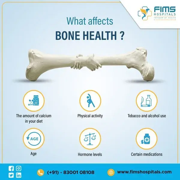 What Affects Bone Health?