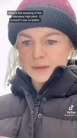 @kallmekris on tiktok