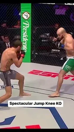 MMA fight - knockout, you must see