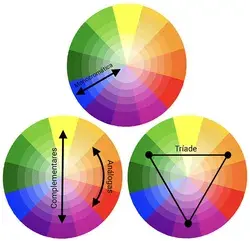 Vamos falar sobre as cores? • Raquel Bazetto - Consultoria de Imagem e Estilo