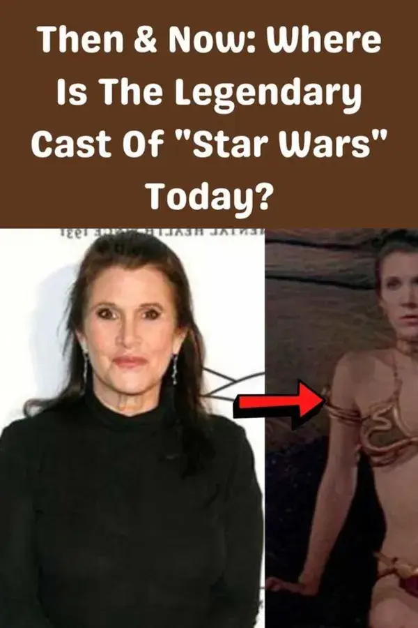 Then & Now: Where Is The Legendary Cast Of "Star Wars" Today?