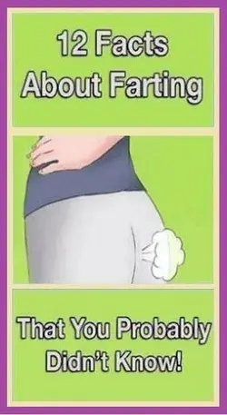 12 FACTS ABOUT FARTING YOU  | Smore Newsletters