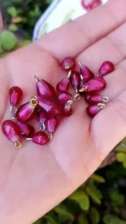 Some pomegranate seeds for you.