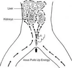 Energy Gates Qigong