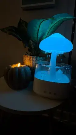 Raincloud humidifier