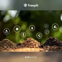 Freepik