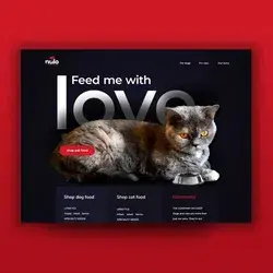 Web design ui inspiration