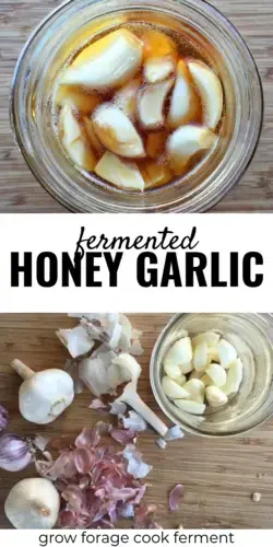 Fermented Honey Garlic Recipe