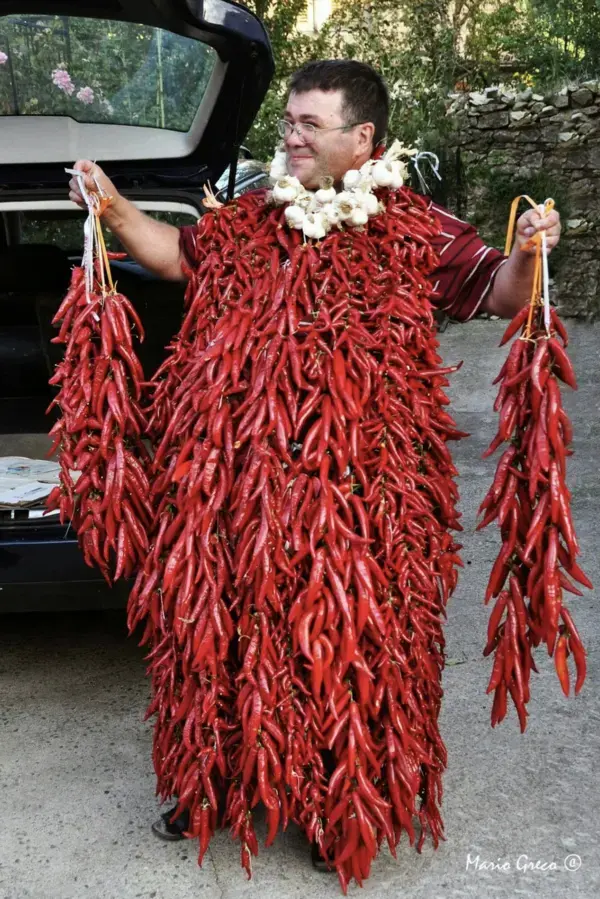 Hot Pepper Costume