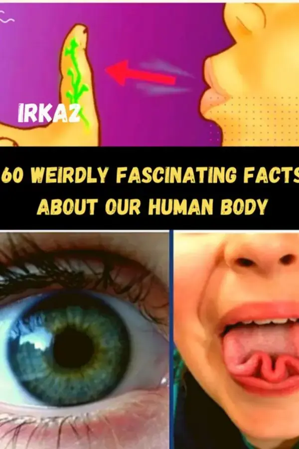 60 Weirdly Fascinating Facts About Our Human Body