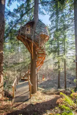 nelsontreehouse.com