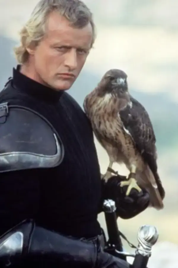 ladyhawke.fandom.com