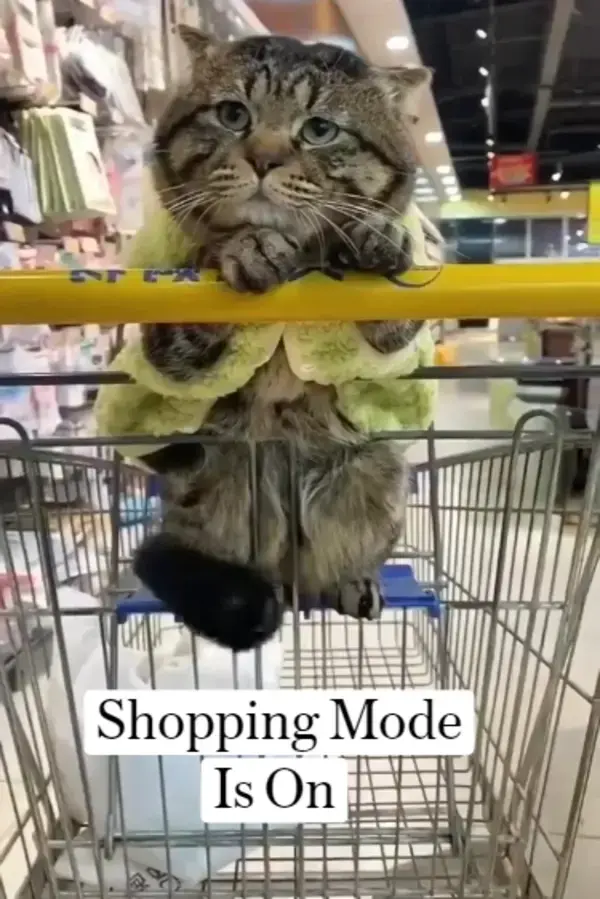 Shopping Mode Is On