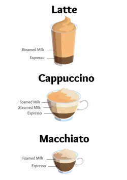 fluentincoffee.com