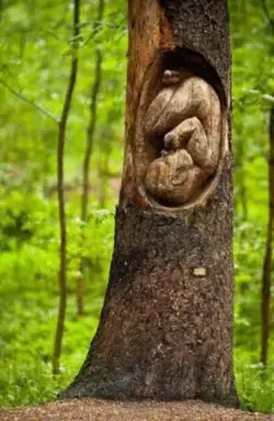 Baby engraved in a Tree - Remembering Mom lost unborn Baby.