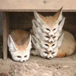 www.boredpanda.com