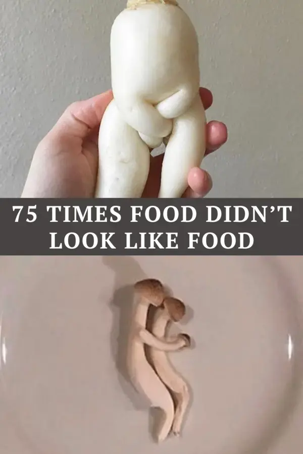 75 times food didn’t look like food 