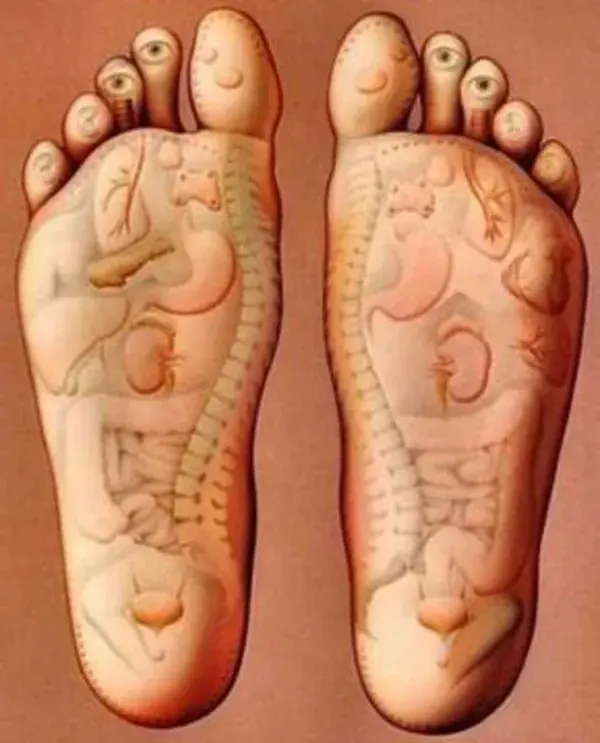 Foot Reflexology Massage Benefits