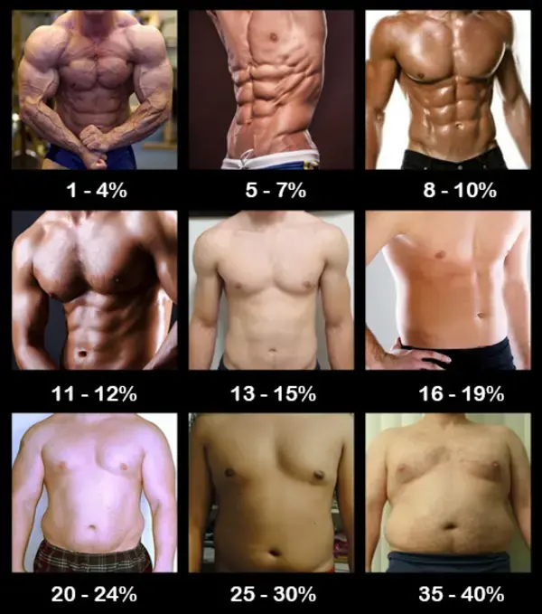 muscletransform.com