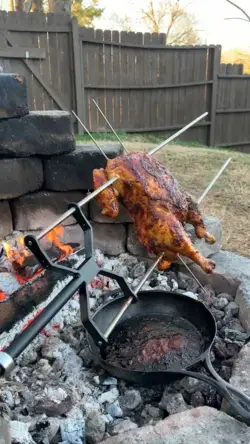 Rotisserie Chicken with Spicy Cilantro Mayo Recipe!