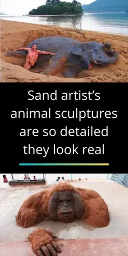 Sand artist’s animal sculptures are so detailed they look real