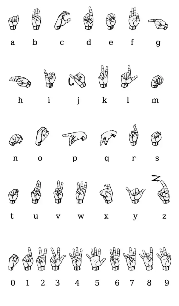 beginner ASL