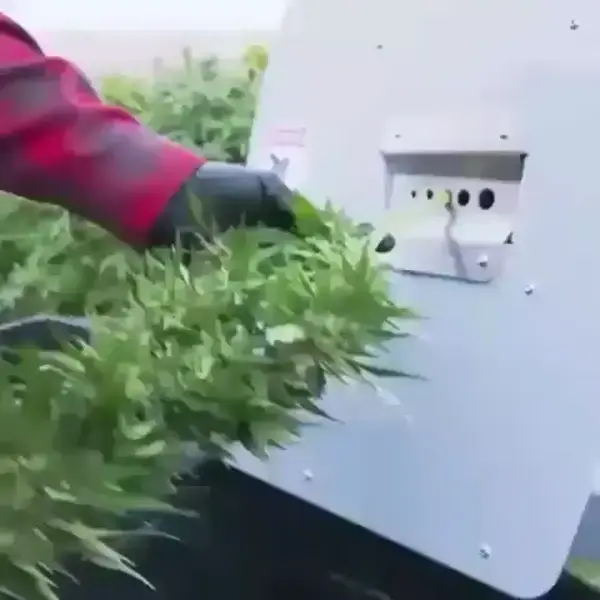 Bud harvester 🌿