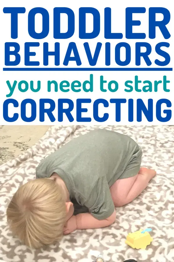 Toddler Discipline: Identifying Behaviors that Need to be Corrected and Ways to Correct Them