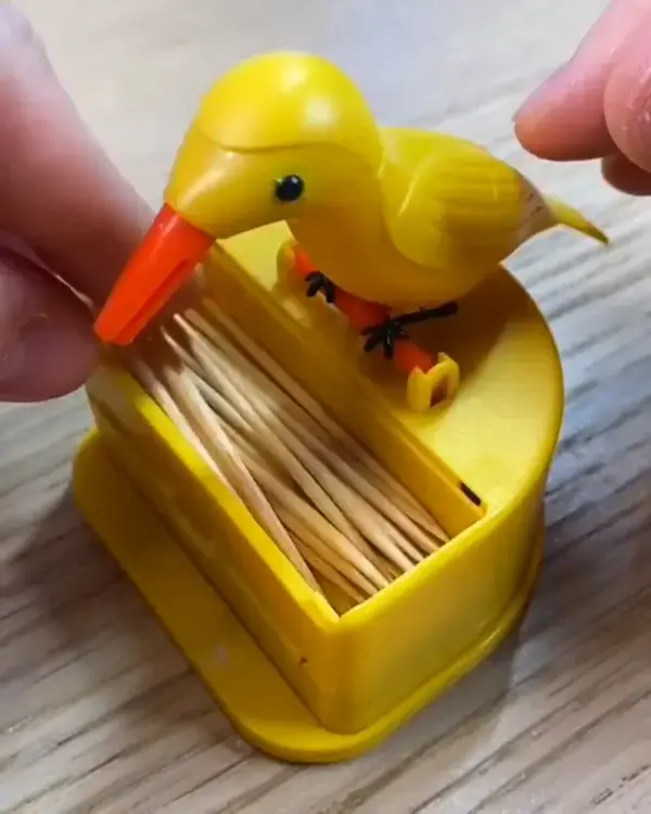 Toothpick Dispenser Funny