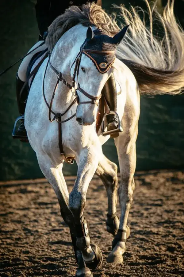 There Is No Sense Of Freedom Equal To What We Feel When we Ride A #Horse - Anonymous 