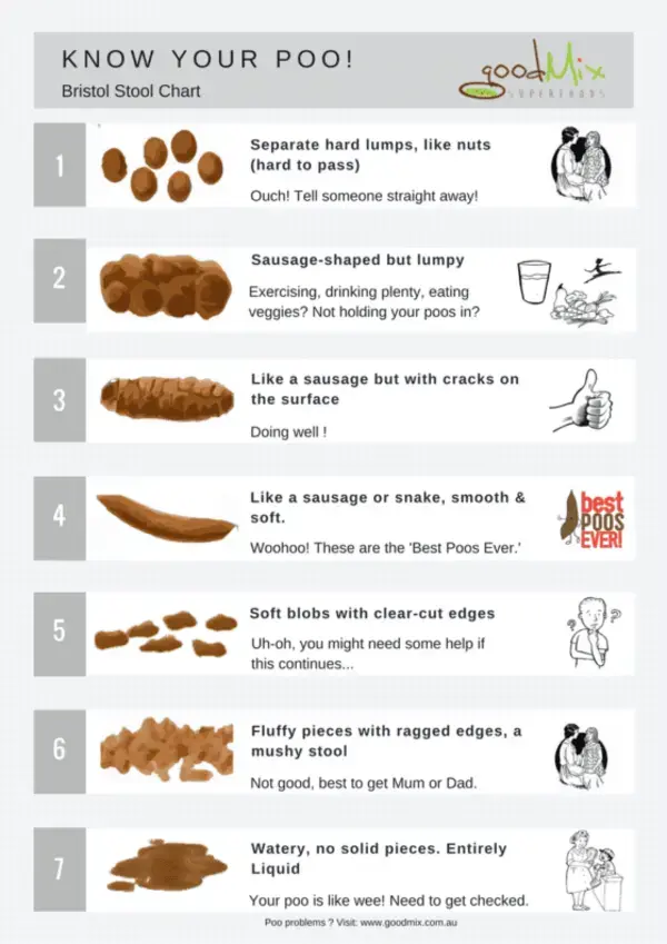 Bristol Stool Chart - A Gutsy Girl