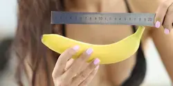 Real Data About Average Penis Size
