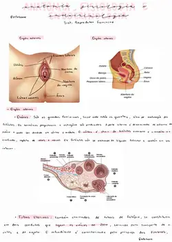 www.passeidireto.com