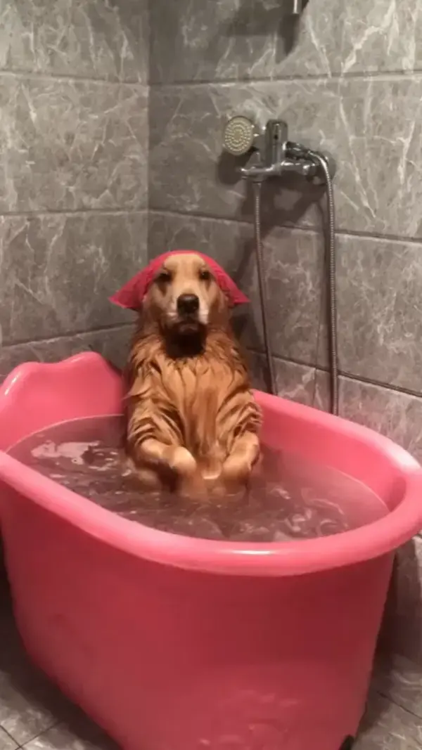 Bath time