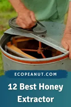 12 Best Honey Extractor
