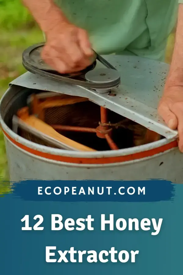 12 Best Honey Extractor