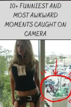 10+ Funniest And Most Awkward Moments Caught On Camera