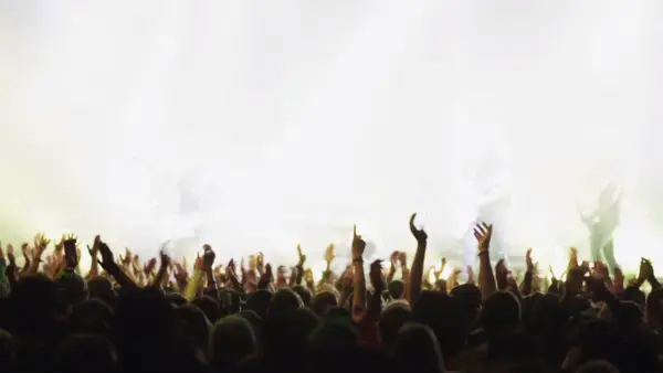 Stock Video - Concert Crowd At Live Music Concert, Festival 